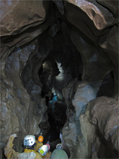 Thumbnail of photo from this article